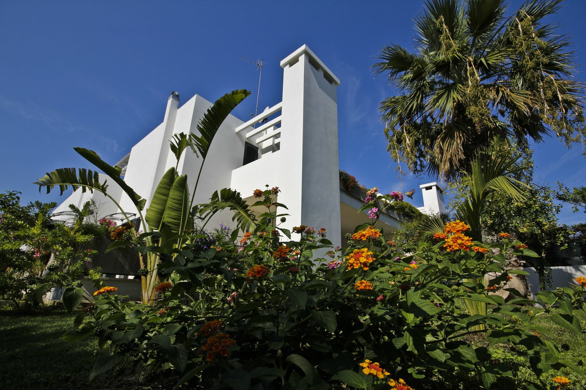B&B Villa Genny A Pochi Passi Dal Mare Сан Каталдо Екстериор снимка